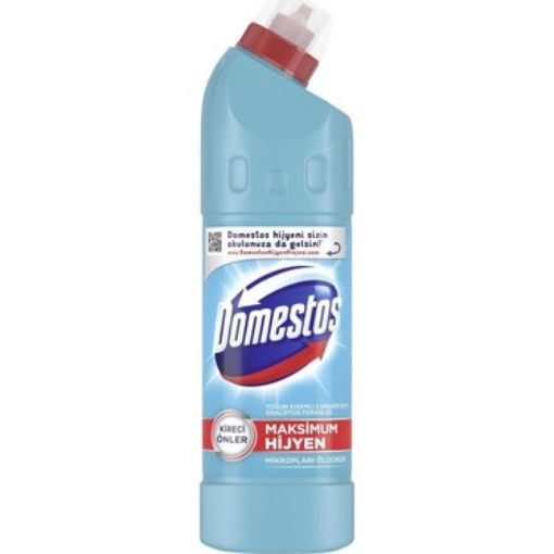 Picture of Domestos Eucalyptus Refreshment Intensive Bleach 750 ml