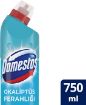 Picture of Domestos Eucalyptus Refreshment Intensive Bleach 750 ml