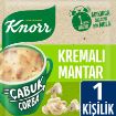 Picture of Knorr Quick Soup Cream of Mushroom 19 G
