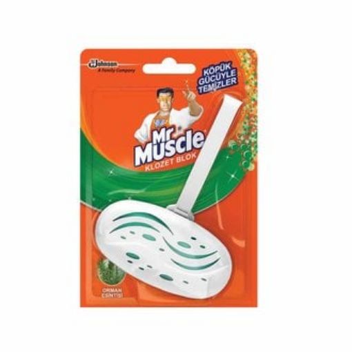 Picture of Mr Muscle Toilet Block Forest Breeze 40 G