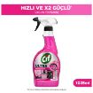 Picture of Cif Ultra Instant Effect Dirt and Oil Remover Sakura Perfume 1025 ml