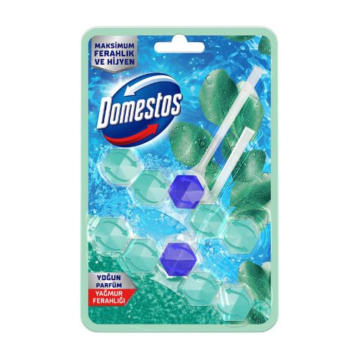 Picture of Domestos Toilet Block Rain Freshness 2 x 50g