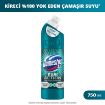 Picture of Domestos 2.0 Dual Action Anti-Limescale Bleach 750 ml